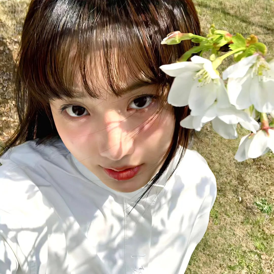 好血统